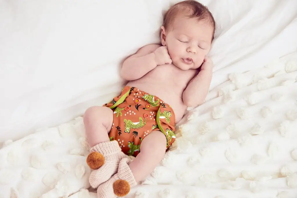 Esembly Cloth Diapers
